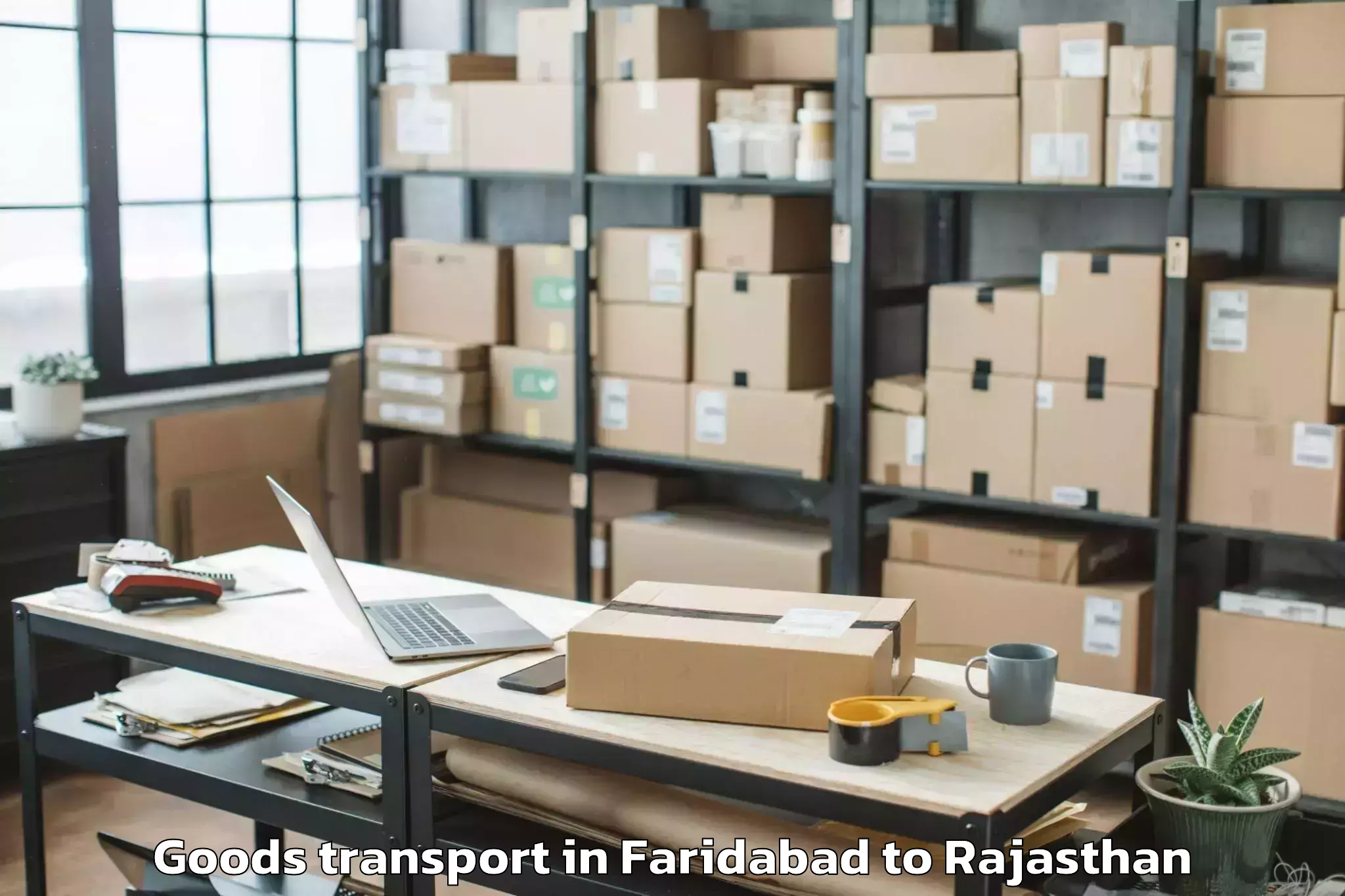 Expert Faridabad to Phalodi Goods Transport